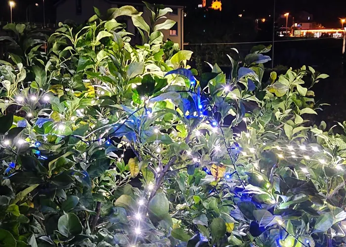 Сasa de vacaciones Ca' De Natta *