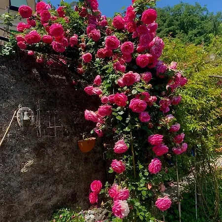 Vakantiehuis Ca' De Natta Sestri Levante