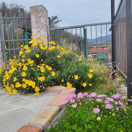 Ca' De Natta Semesterbostad *